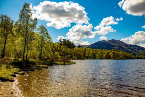 Klares Wasser unter blauem Himmel – 1000-teiliges Holzpuzzle – Heimdekoration, Familienspiel, Erwachsene von MMACPUZZLE