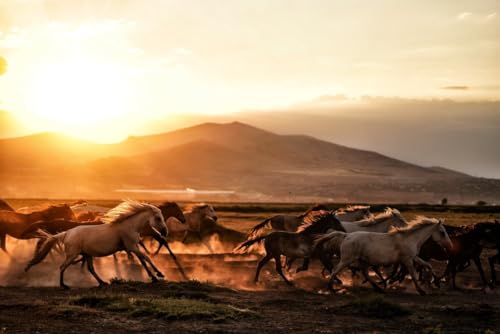 Pferde am Fuße des Sonnenuntergangsbergs – 5000-teiliges Holzpuzzle – intellektuelles Puzzle zum Lernen und Stressabbau von MMACPUZZLE