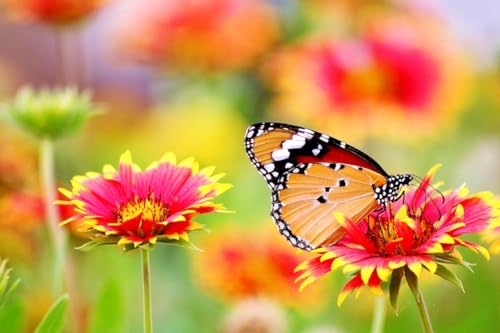 Schmetterling auf Einer Blume – 15000-teiliges Holzpuzzle – Puzzles für Erwachsene, lustige Geschenke von MMACPUZZLE