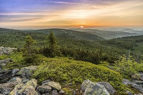 Waldberge bei Sonnenuntergang, 5000-teiliges Puzzle-Set, wunderschön illustriertes Puzzle, Moderne dekorative Kunst, Puzzlespiel, einzigartiges Geschenkspiel von MMACPUZZLE