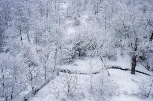 Winter Overlook verschneite Waldszene – 1000-teiliges Holzpuzzle – für Erwachsene von MMACPUZZLE