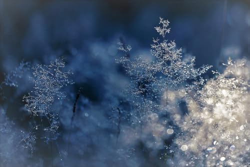 Wunderschöne Schneeflocken – 1500-teiliges Holzpuzzle – Erstellen Sie EIN dekoratives Teil für Ihr Zuhause oder Büro von MMACPUZZLE