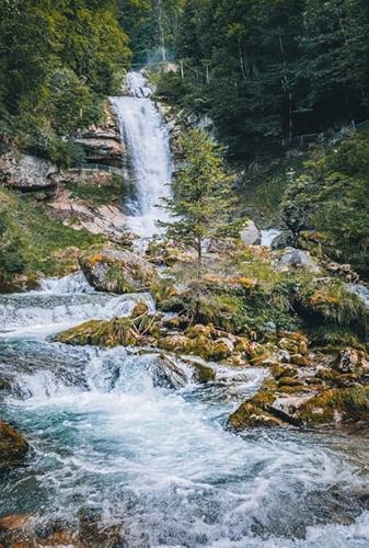 Wunderschöner Wasserfall – 1000-teiliges Holzpuzzle – Kunstpuzzle für Erwachsene, Familienspiel von MMACPUZZLE