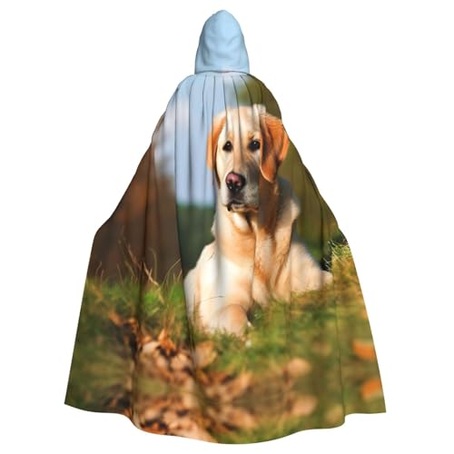 MMSJSBVY Niedlicher Labrador-Hunde-Kapuzenumhang, Unisex-Bademantel, Umhang, Halloween, Weihnachten, Rollenspiel-Kostüme, Themenpartys und Comic-Konventionen von MMSJSBVY