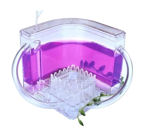 Ameisenfarm Ameisen Farm Ameisenburg-Beobachtungsset, Ameisenfarm, Durchscheinendes Gel, Ameisenzuchtset, Ameisennest, Farm, Ameisenlebensraum, Wissenschaft Ameisenfarm Erwachsener(Purple) von MOBAAK