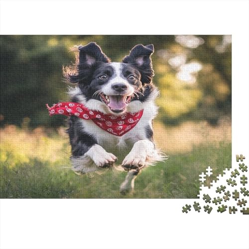 Border Collie 1000 Teile, Impossible Woody Puzzle,Geschicklichkeitsspiel Für Die Ganze Familie, Erwachsenenpuzzle Ab 14 Jahren Puzzel 1000pcs (75x50cm) von MOBYAT