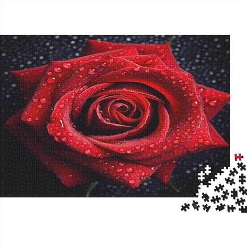 Hölzern Puzzle 2023, Adventskalender Puzzle 500 Hölzern Teile Weihnachtskalender 2023 Männer Frauen Geschenke Jigsaw Puzzle Adventskalender Geschenke - 3D Red Rose von MOBYAT