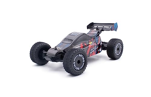 MODSTER Sport Racer Elektro Brushed Buggy mit ESP 2WD 1:24 RTR, Schwarz von MODSTER