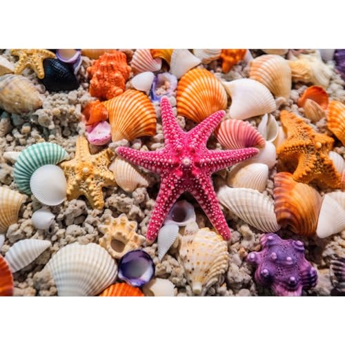 Puzzle 1000 Teile,Puzzle Erwachsene, EIN Herausforderndes Rätsel,Puzzlespiele für Die Ganze Familie,Geschenke für Frauen,Geschenke für Männer,Thema:Seestern und Muscheln Puzzle 1000 Teile,Puzzle Erwachsene, EIN Herausforderndes Rätsel,Puzzlespiele für Die Ganze Familie,Geschenke für Frauen,Geschenke für Männer,Thema:Seestern und Muscheln von MOJIGE