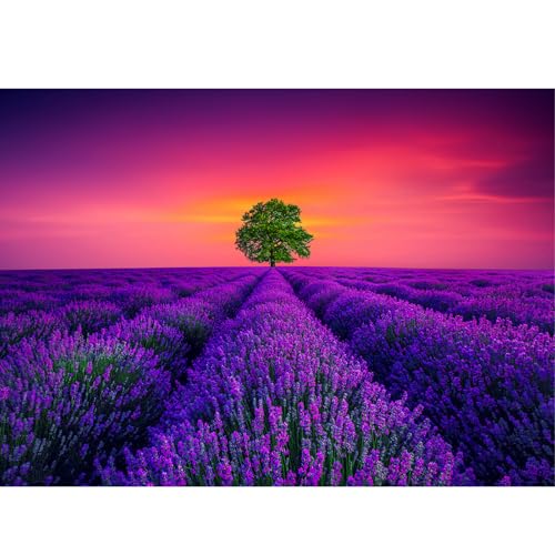 Puzzles für Erwachsene, 1000, Puzzles für Erwachsene, herausfordernde Puzzles, Puzzle-Spiel für das Ganze für Frauen, Geschenke für Männer, Thema: Lavendel der Provence von MOJIGE