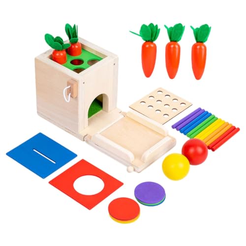 MOLUCKFU 1 Satz Münzbox entwicklung kindliche entwicklung Kleinkind Toys geschirrset kompaktes sensorisches Kinderspielzeug Holz von MOLUCKFU