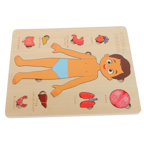 MOLUCKFU 1 Satz Puzzle Zur Struktur des Menschlichen Körpers Werkzeug Spielzeug Puzzle Sortierschalen Puzzlematte Puzzlekleber Hilfsmittel Für Den Kindergarten Anatomie-Puzzle Holz von MOLUCKFU