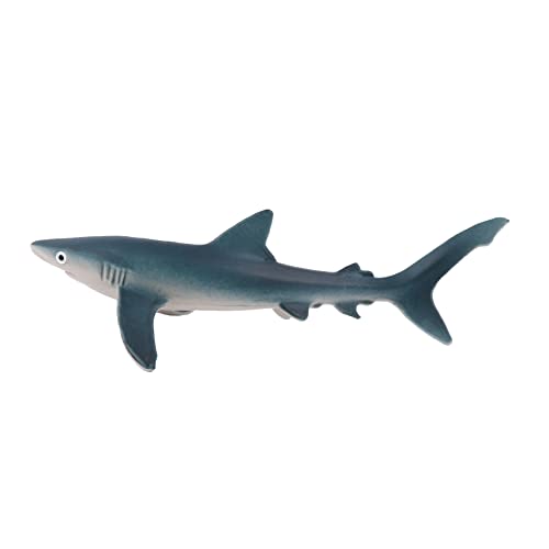 MOLUCKFU 1Pc Meeresleben Tiere Modell Hai Modell Lehrmodelle Hai Pädagogisches Spielzeug Künstliche Hai Spielzeug von MOLUCKFU