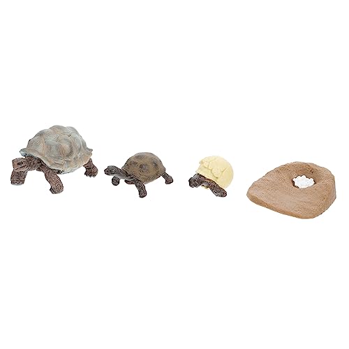 MOLUCKFU 4 Stück Schildkröten Ornament Spielzeugtiere Design Für Den Schreibtisch Schmücken Tiere Figuren Wachstumszyklus Figuren Lebenszyklus Figuren Schildkröten Figuren Tiere von MOLUCKFU