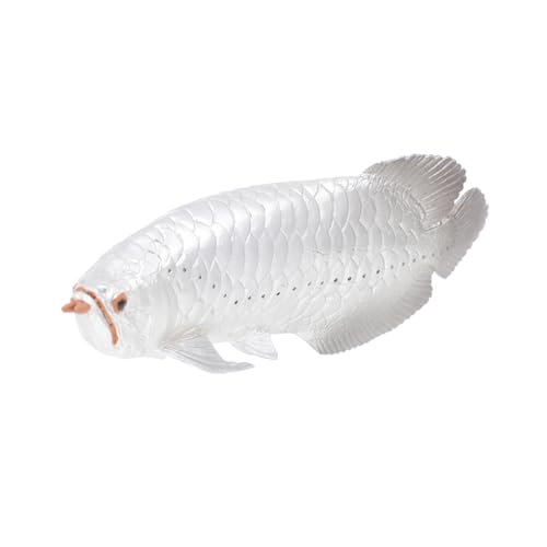 MOLUCKFU Simuliertes Arowana Spielzeug Für Den Strand Lernspielzeug Nachgemachtes Fischspielzeug Tischdekoration Kinderspielzeug Fischmodell Spielzeug Tierspielzeug Krabbe Silver Plastik von MOLUCKFU