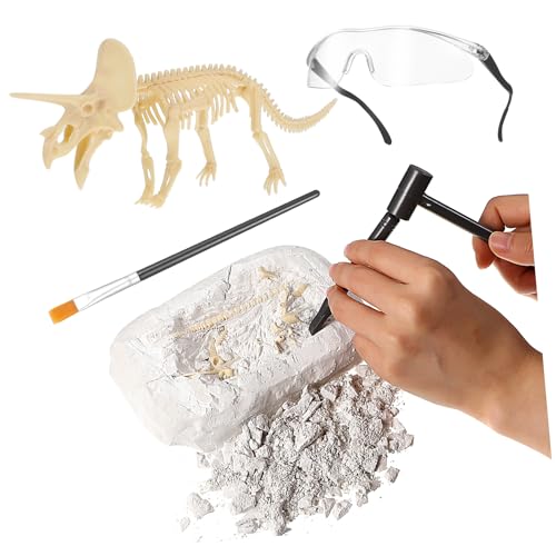 MOLUCKFU bastelset basteln für sankastenspielsachen Kinderbildung bastelmaterial für Kid Toys Dinosaurier-Kit Ausgrabungssets für Dinosaurier Grabsets Plastik von MOLUCKFU