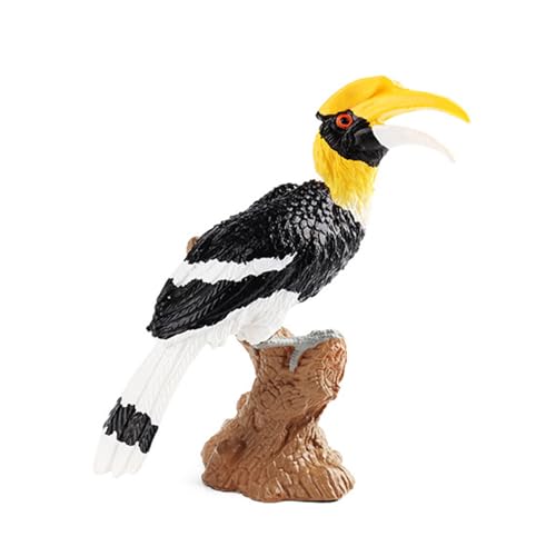 MOONDAME Simulation Toucan Vogel Statische Modell Feste Figur Spielzeug Figur Statue Wildlife Nashornvogel Figur Spielzeug Kinder Geschenk von MOONDAME