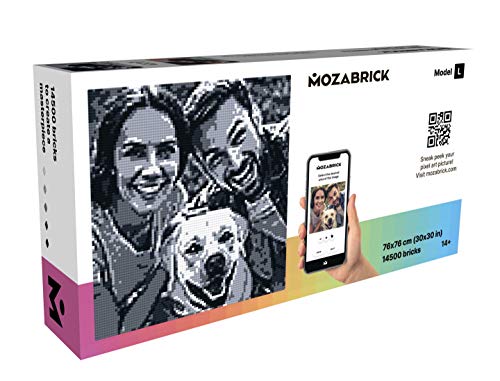 MOZABRICK Set L- Klemmbaustein Mosaik Foto Bausatz, personalisiertes Geschenk, Benutzerdefiniert, Bild Baukasten, Bauset, Pixel Art Kunst Steckbaustein Gemälde von MOZABRICK