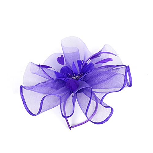 MRVAKDYDI Fascinator Spitze Feder Hut für Frauen, Feder Haarreif Stirnband Feder Kopfbedeckung(Purple,1 count (Pack of 1)) von MRVAKDYDI