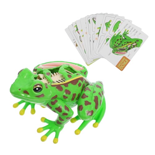 MUCKLILY Froschmodell Demontagewerkzeug Selbstklebende Kaninchen Ei Aufkleber Set Spielzeugaufkleber Für Puzzle Frosch Abnehmbares Frosch Demontagewerkzeug Entferner von MUCKLILY