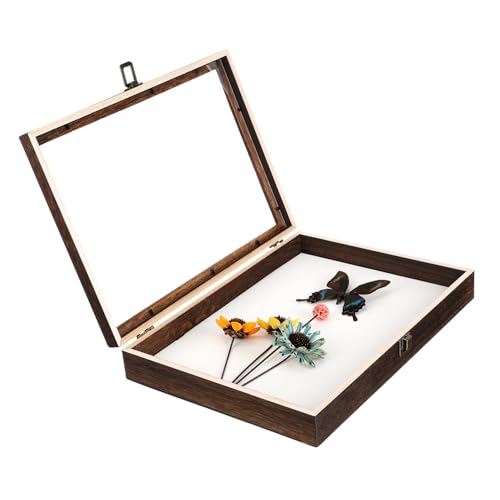 MUCKLILY Holz-display-box Schmetterlinge Exemplar-vitrine Mit Transparentem Deckel Für Sammlerstücke Rahmen MUCKLILY Holz-display-box Schmetterlinge Exemplar-vitrine Mit Transparentem Deckel Für Sammlerstücke Rahmen von MUCKLILY