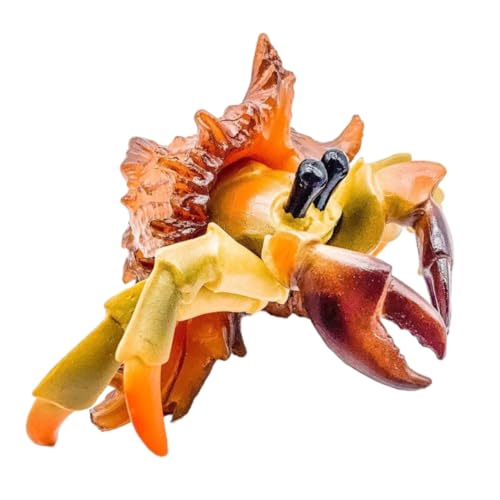 MUCKLILY Simulation Einsiedler Krebse Aquarium- Simulation Meerestier Krabbenstatuen Statische Tierfiguren Simulation Pagurisches Modell Krabbenfiguren Plastik Papagei Einstellen Kind von MUCKLILY