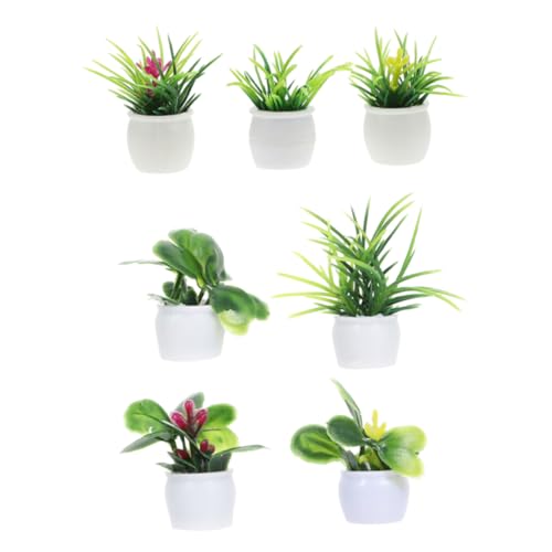 MUSISALY 7 Teiliges Set Miniatur Pflanzen Dekoration Für Puppenhaus Mini Potted Plant Decor Für Mikrolandschaft Garten Und Wohnaccessoires von MUSISALY