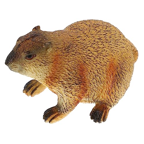 MUSISALY Simulierte Wilde Tiere Murmeltier-Modell Simulation Murmeltierfiguren Murmeltier-Statue Simulation Realistischer Murmeltierfiguren Statuen Von Wildtieren Wildtierfiguren Plastik von MUSISALY