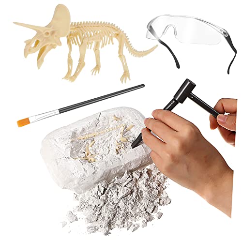 MUSISALY Spielzeug Kindergeburtstagsgeschenk Dinosaurierskelett ausgraben Skelettmodell Bausatz Kinder bastelset basteln für Kinder Kid Toys Grabsets Ausgrabungssets für Dinosaurier Plastik von MUSISALY