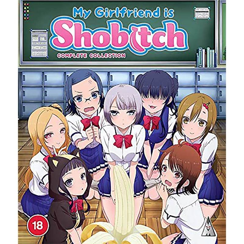 My Girlfriend is Shobitch Collection von MVM