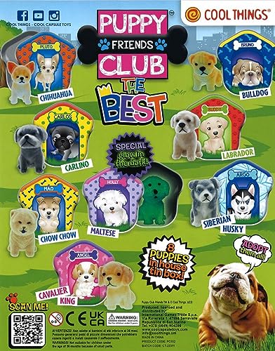 MVS Wholesale 10 Stück Puppy Club The Best Of Series, jeder Überraschungsball enthält 1 Welpe und 1 Welpenhütte mit 8 zum Finden und Sammeln. Ideal als Partytütenfüller oder Füllung MVS Wholesale 10 Stück Puppy Club The Best Of Series, jeder Überraschungsball enthält 1 Welpe und 1 Welpenhütte mit 8 zum Finden und Sammeln. Ideal als Partytütenfüller oder Füllung von MVS Wholesale