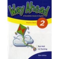 Way Ahead 2 Grammar Practice Book Revised von Macmillan Education Elt