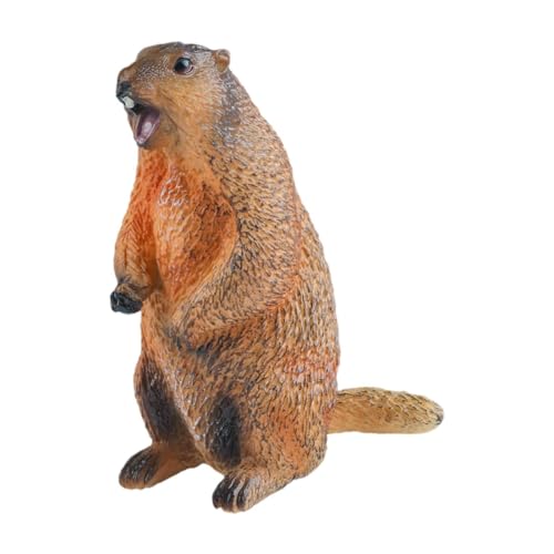 MagiDeal Groundhog Model Figur Marmots Skulptur Mini Realistic Home Decor Wildlife Figur Tiermodell für Partybevorzugungen Jungen Mädchen, Offener Mund von MagiDeal