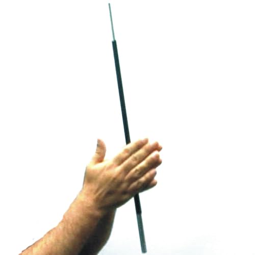 Erläuterung eines Zauberstabs mit Video-Erklärung für einfaches Verständnis Sammlerstücke Erläuterung eines Zauberstabs mit Video-Erklärung für einfaches Verständnis Sammlerstücke von Magiapym