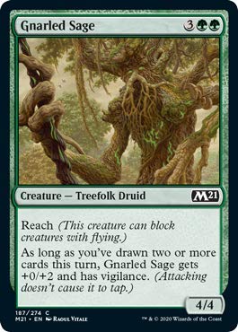 Magic: The Gathering - Gnarled Sage - Core Set 2021 von Magic: The Gathering Singles