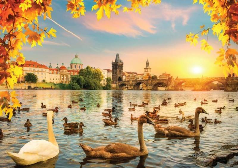 Magnolia Swans near Charles Bridge 1000 Teile Puzzle Magnolia-3504 von Magnolia