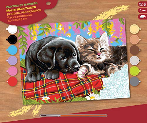 MAMMUT 8241107 - Malen nach Zahlen Senior, Hund und Katze, Komplettset mit bedruckter Malvorlage im A3 Format, 12 Acrylfarben, Pinsel und Anleitung, großes Malset ab 10 Jahre MAMMUT 8241107 - Malen nach Zahlen Senior, Hund und Katze, Komplettset mit bedruckter Malvorlage im A3 Format, 12 Acrylfarben, Pinsel und Anleitung, großes Malset ab 10 Jahre von Mammut Spiel & Geschenk