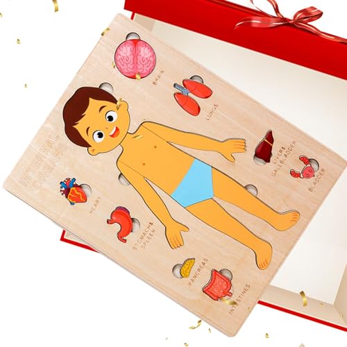 Maodom Anatomie Für Kinder | Holz Lernspielzeug Menschliche Körperteile - Wissenschaftliches Spielzeug Für Kleinkinder Und Kinder Mädchen Kindergarten Schule Unterricht Maodom Anatomie Für Kinder | Holz Lernspielzeug Menschliche Körperteile - Wissenschaftliches Spielzeug Für Kleinkinder Und Kinder Mädchen Kindergarten Schule Unterricht von Maodom