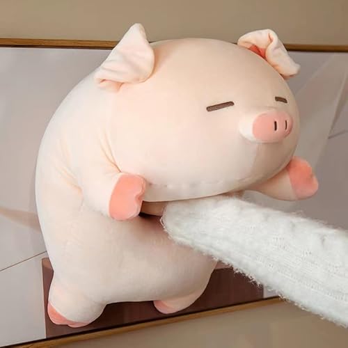 Plüschtier mit Schwein, 50 cm, Kawaii-Plüsch, niedliches Kissen, Plüschkissen, Umarmungskissen für Kinder, fett, weich, kuschelig, Stoffschwein, Plüschtier für Mädchen und Jungen (Schielauge) von Maomoto