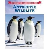 Antarctic Wildlife von Mason Crest Publishers