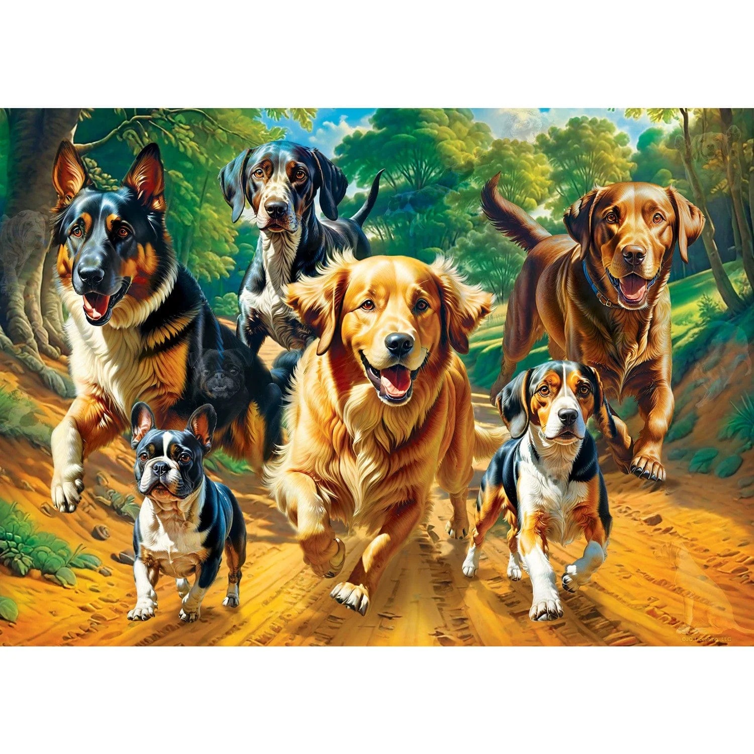 Master Pieces Hidden Images - Trailrunning - Glow in the Dark 500 Teile Puzzle Master-Pieces-32524 Master Pieces Hidden Images - Trailrunning - Glow in the Dark 500 Teile Puzzle Master-Pieces-32524 von Master Pieces