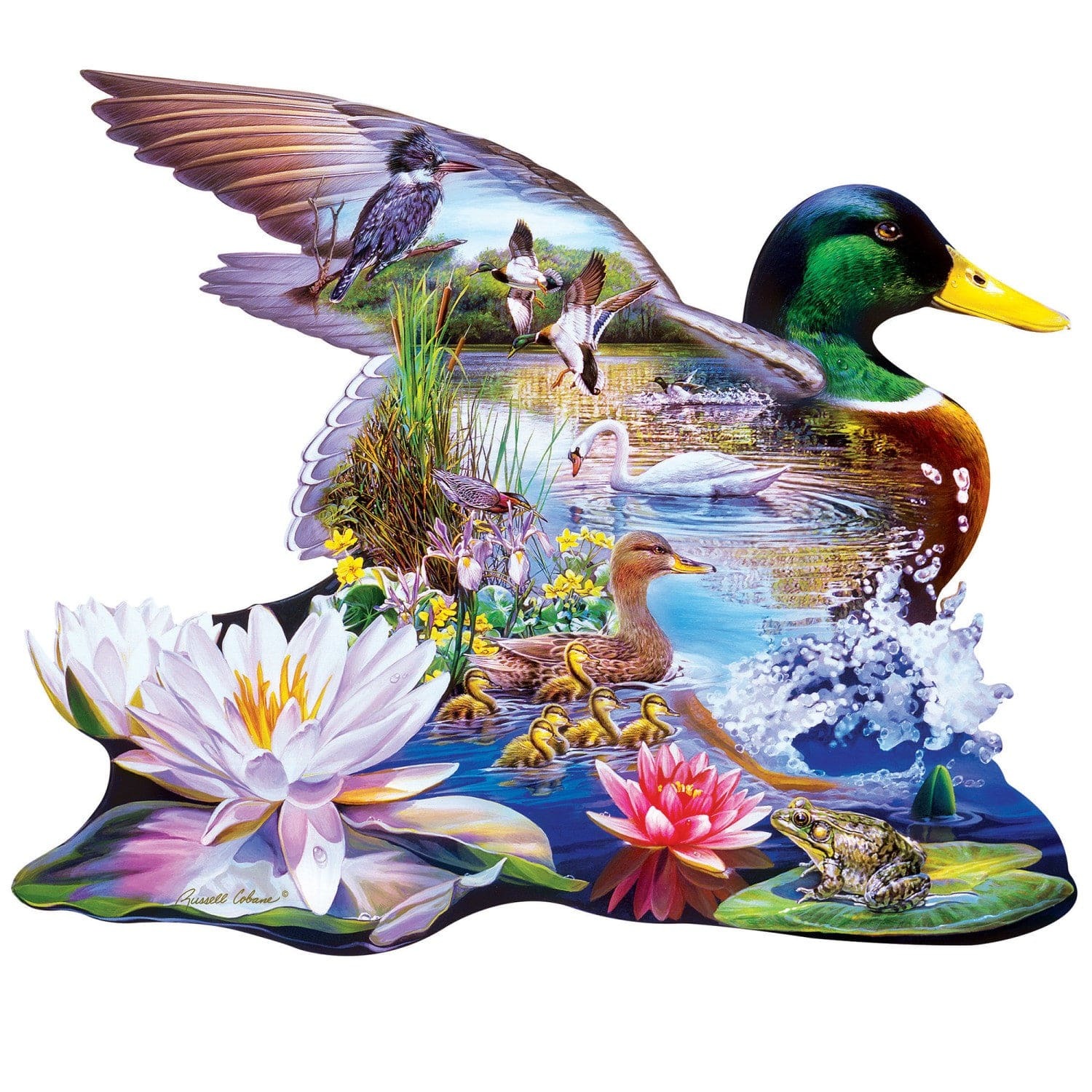 Master Pieces Waldenten - Formpuzzle 500 Teile Puzzle Master-Pieces-32290 Master Pieces Waldenten - Formpuzzle 500 Teile Puzzle Master-Pieces-32290 von Master Pieces