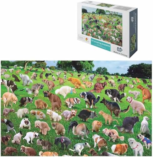 1000 Teile Puzzle für Erwachsene, 101 Hunde auf dem Gras, 101 Welpengruppen-Fotopuzzle, 1000 Teile Hundepark-Puzzles, entwickeln Sie passende und motorische Fähigkeiten für Kinder ab 3 Jahren von Masyrt