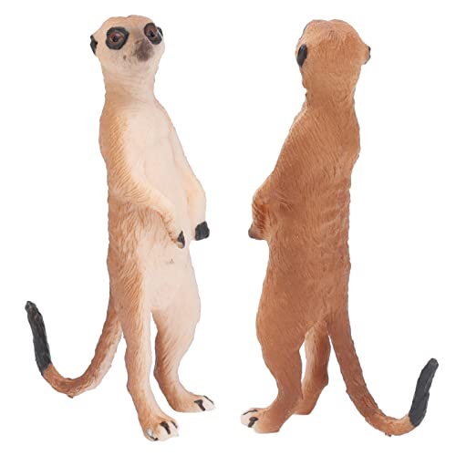 2pcs Meerkat -Modell, Lebensecht, Süßes Aussehen, Stimuliert Kreativität, Einzigartige Textur, Stehendes Tier, Kognitives Spielzeug für von Masyrt