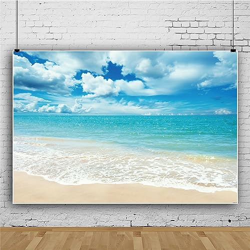 Mateju Meer Fotografie Hintergrund, Blauer Himmel WolkenStrand Fotoleinwand Hintergrund, Vinyl Fotohintergrund Tuch, Poster Foto Video Hintergrund Fotostudio Requisiten (4x2.5 FT,Stil B) von Mateju