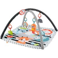 Fisher-Price 3-in-1-Spieldecke für Babys mit Musik, Lichtern, sensorischen Aktivitätsspielzeugen Fisher-Price 3-in-1-Spieldecke für Babys mit Musik, Lichtern, sensorischen Aktivitätsspielzeugen von Mattel GmbH