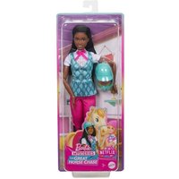 Barbie Mysteries: Das geheimnisvolle Pferdeabenteuer 'Barbie Brooklyn' Puppe mit Reitkleidung und Zubehör von Mattel