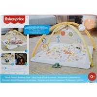 Fisher Price - Simply Senses Newborn Gym von Mattel