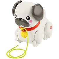 Fisher-Price FP Pets Gassi gehen mit Hündchen Baby und Kleinkind Nachziehspielzeug mit Bewegung und Geräuschen Fisher-Price FP Pets Gassi gehen mit Hündchen Baby und Kleinkind Nachziehspielzeug mit Bewegung und Geräuschen von Mattel GmbH