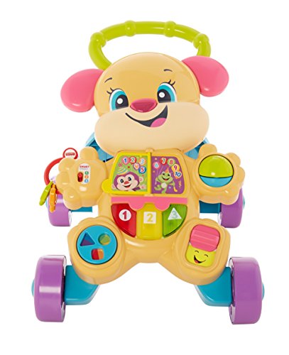 Mattel Fisher-Price FRD04 Fisher-Price Lernspaß Hundefreundin Lauflernwagen von Mattel